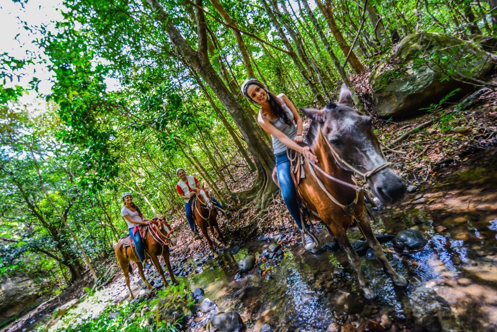 Отель Vida Aventura Ranch Танкес Экстерьер фото